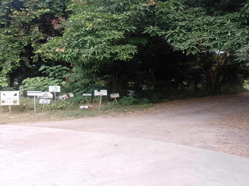 1.3 Hectares Land For Sale In Lian, Batangas