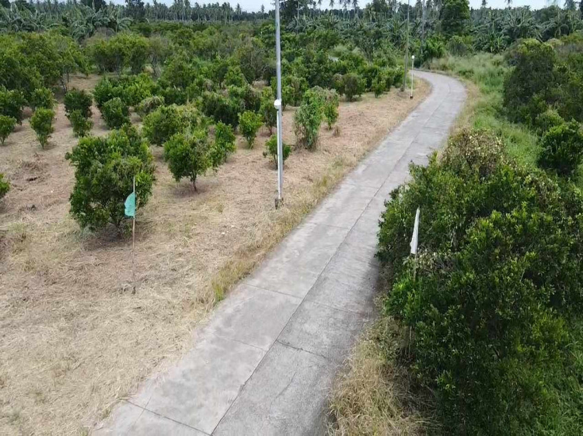For Sale 100 SQM. Residential Lot Located At Brgy. Padre Garcia Batangas