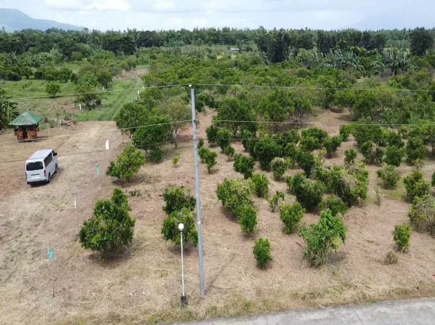 For Sale 100 SQM. Residential Lot Located At Brgy. Padre Garcia Batangas