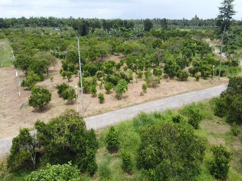 For Sale 100 SQM. Residential Lot Located At Brgy. Padre Garcia Batangas