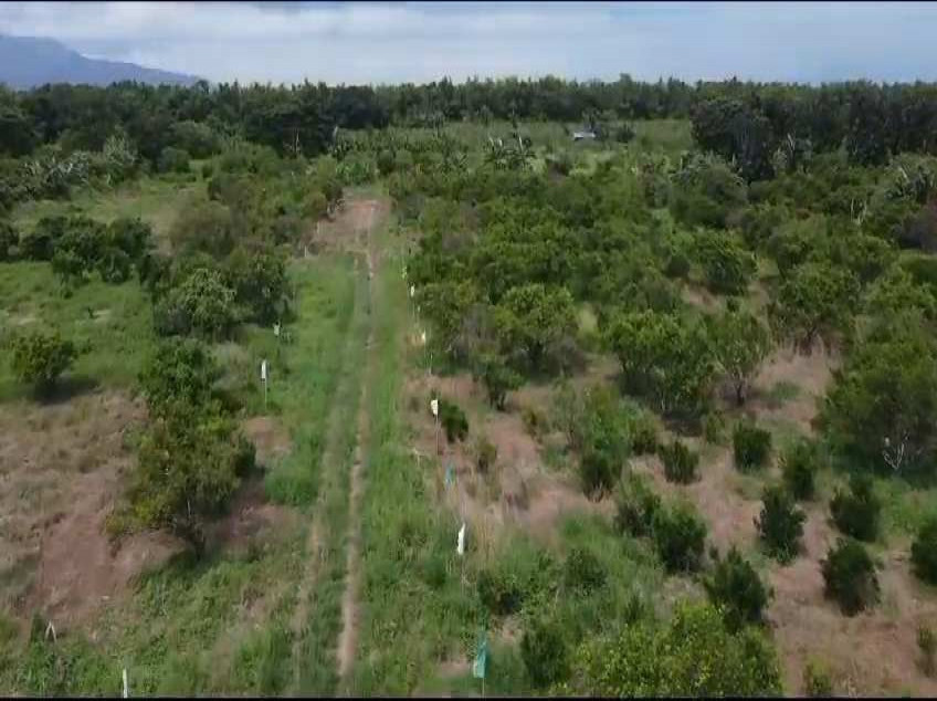 For Sale 100 SQM. Residential Lot Located At Brgy. Padre Garcia Batangas