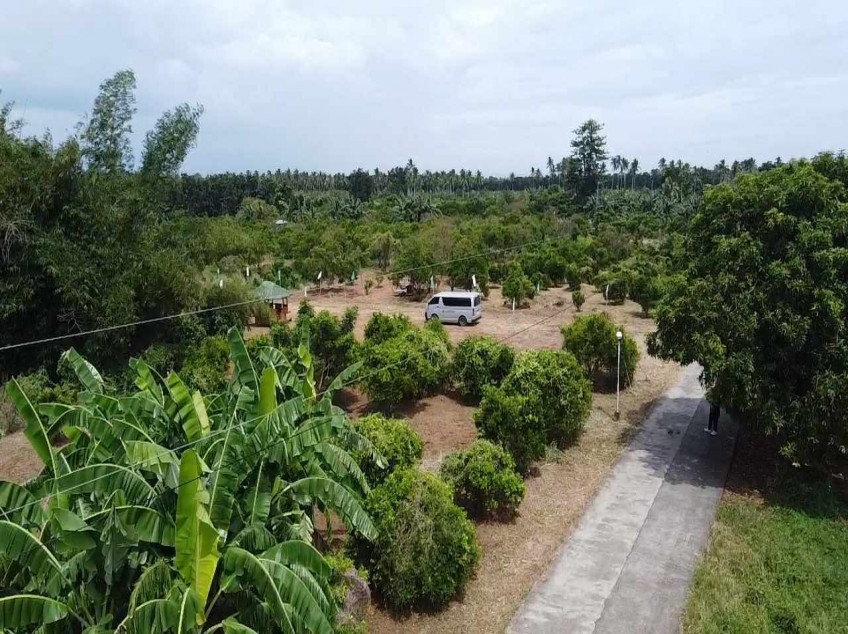 For Sale 100 SQM. Residential Lot Located At Brgy. Padre Garcia Batangas