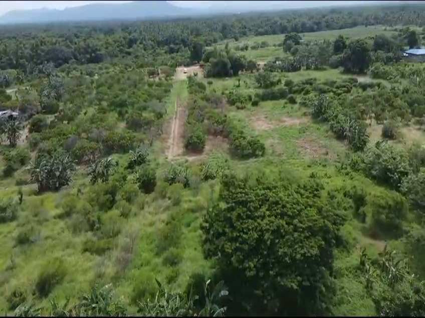 For Sale 100 SQM. Residential Lot Located At Brgy. Padre Garcia Batangas