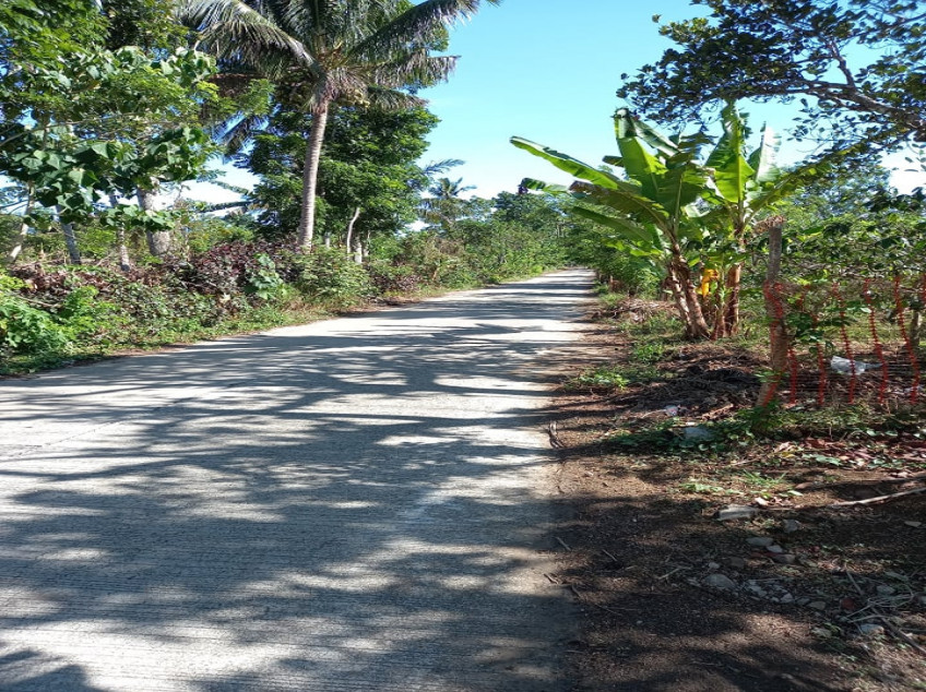 Farm Lot With Fruit Bearing Trees For Sale In Indang, Cavite