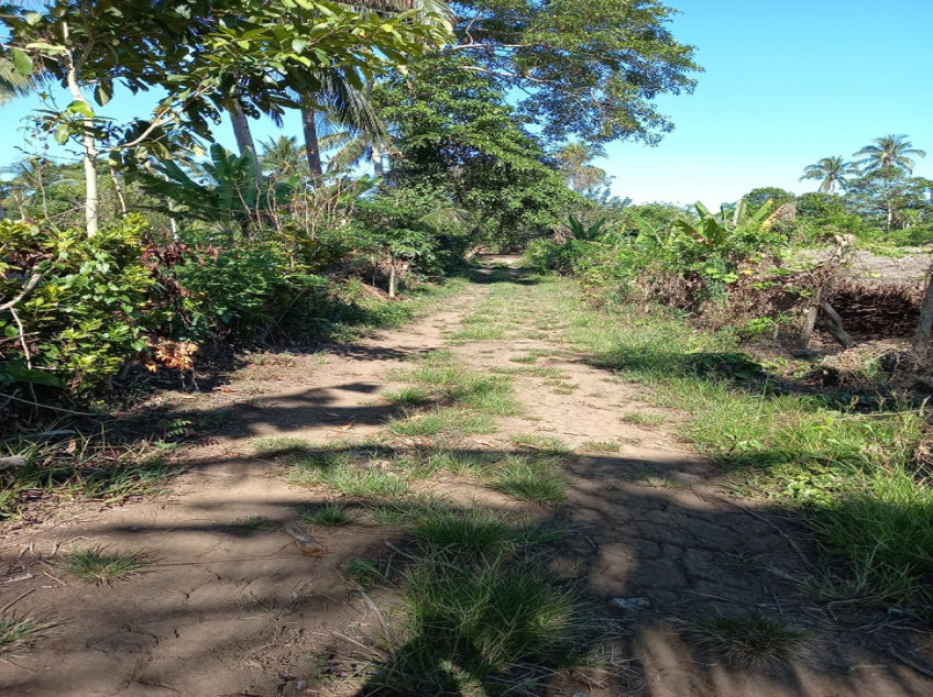 Farm Lot With Fruit Bearing Trees For Sale In Indang, Cavite