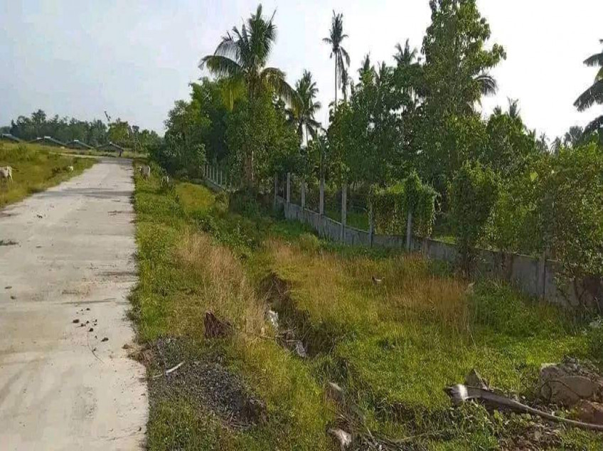 Rush Lot For Sale In Trinidad, Bohol