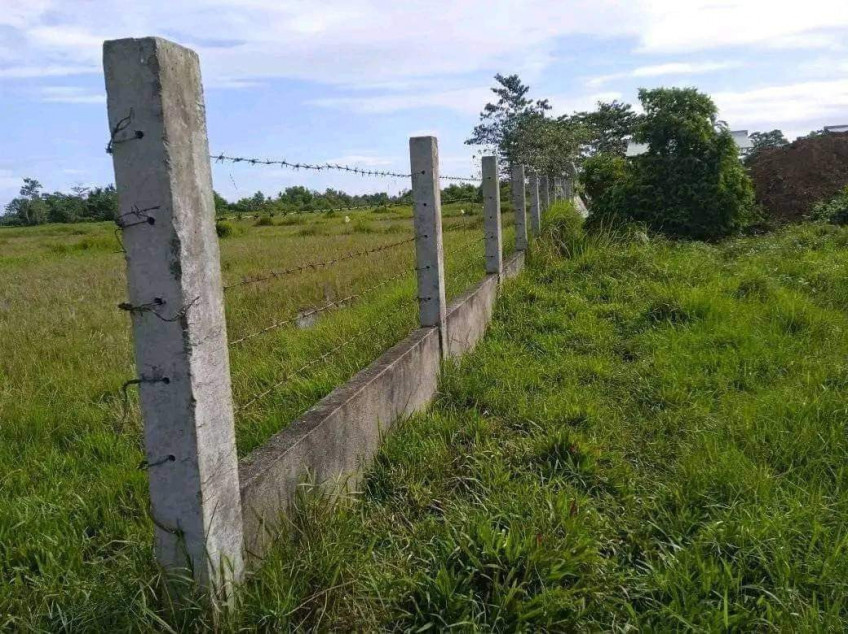 Rush Lot For Sale In Trinidad, Bohol