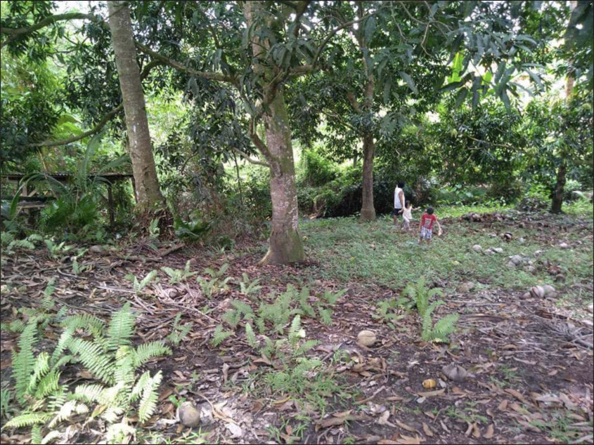 Farm Lot For Sale Bansalan, Davao Del Sur