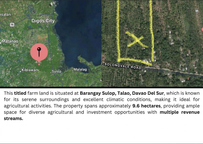 Farm Lot for Sale: Sulop, Davao Del Sur