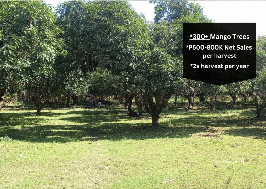 Farm Lot for Sale: Sulop, Davao Del Sur