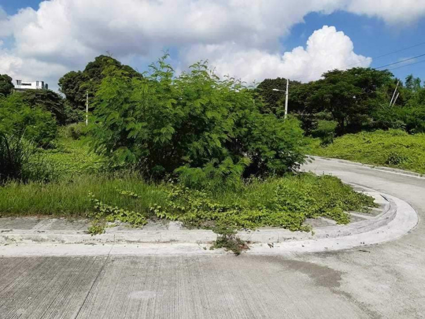 Santa Barbara Heights Corner Lot For Sale In Iloilo