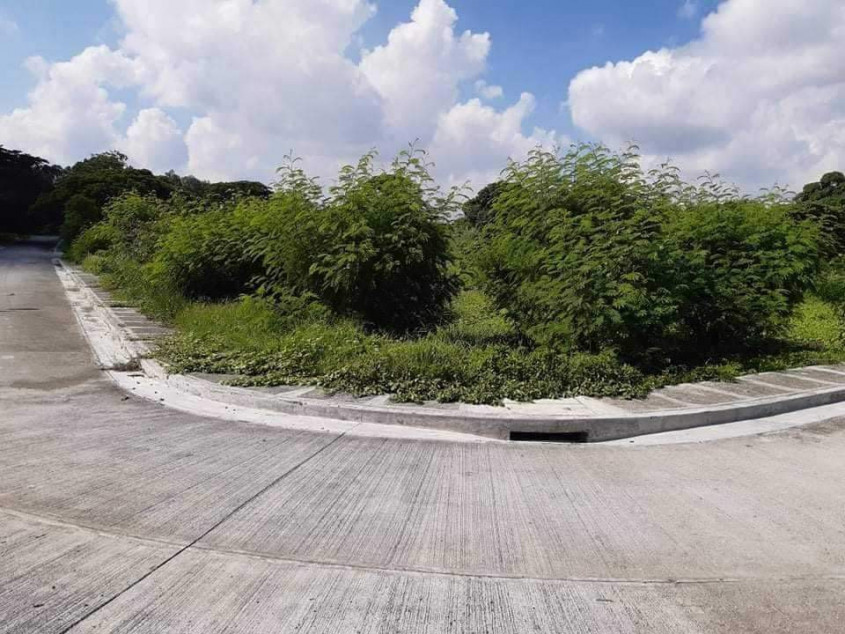 Santa Barbara Heights Corner Lot For Sale In Iloilo
