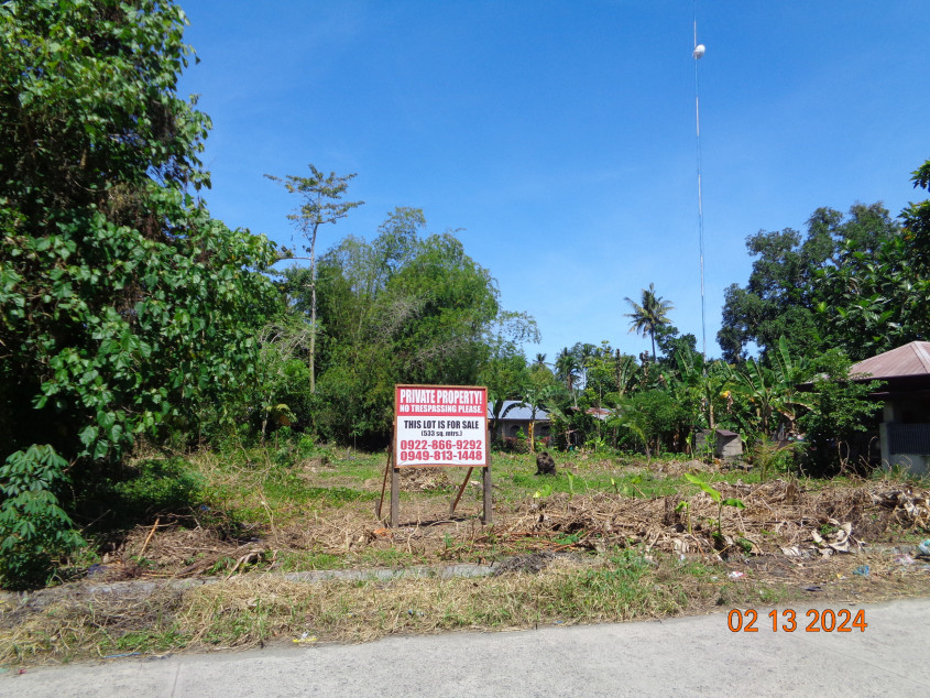 Commercial/Residential Lot For Sale Within Poblacion, Lupon, Davao Oriental