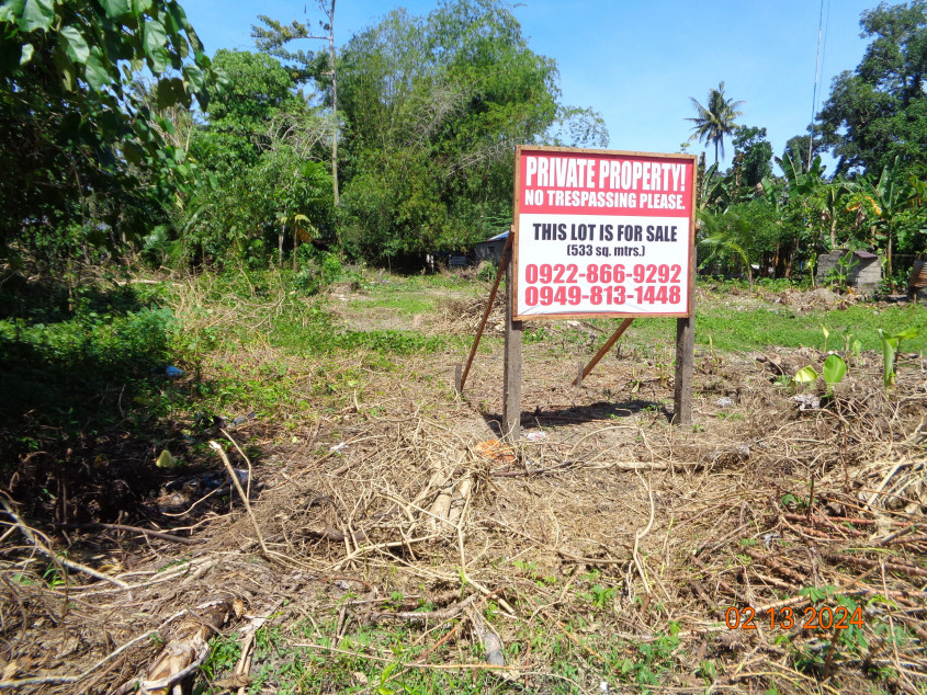 Commercial/Residential Lot For Sale Within Poblacion, Lupon, Davao Oriental