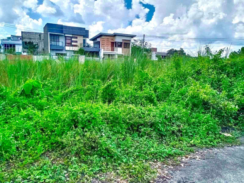 Land For Sale In Anaros De Corinthians Village, Iloilo City