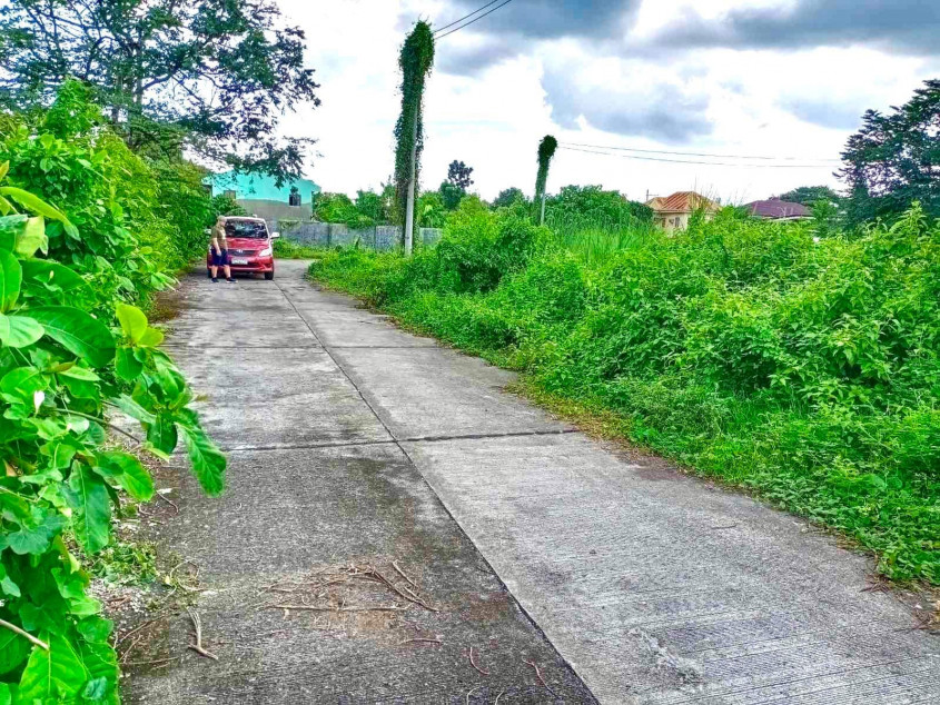 Land For Sale In Anaros De Corinthians Village, Iloilo City