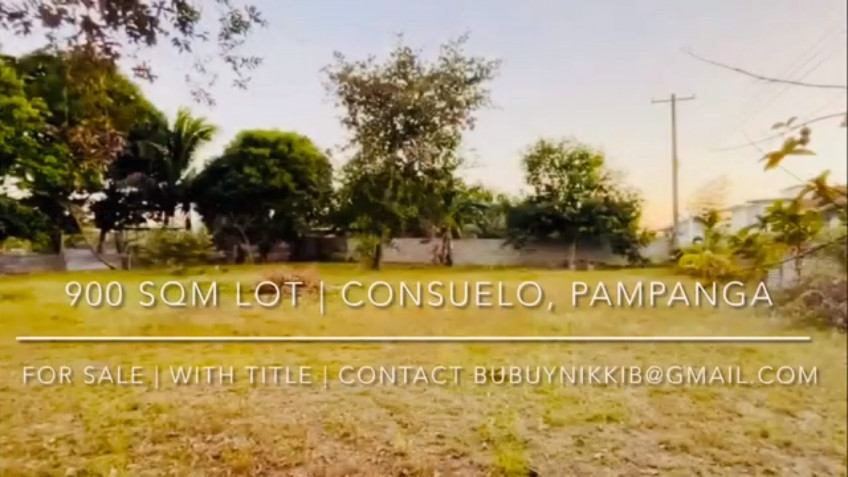 Lot For Sale In Consuelo, Floridablanca, Pampanga