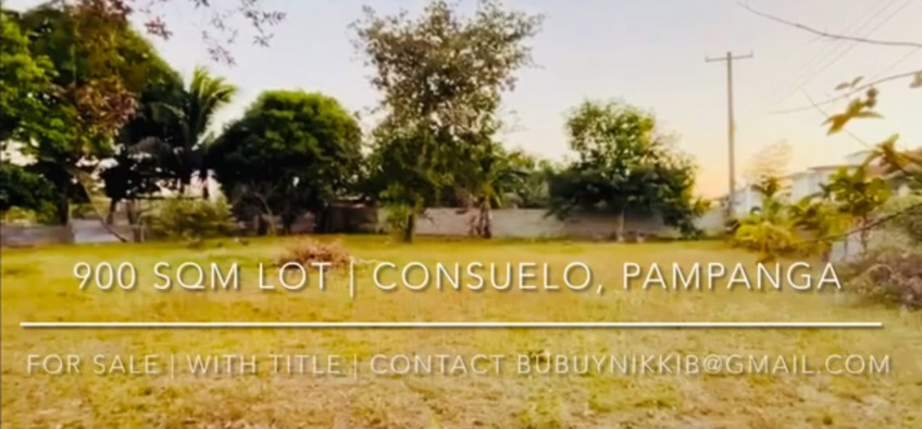 Lot For Sale In Consuelo, Floridablanca, Pampanga