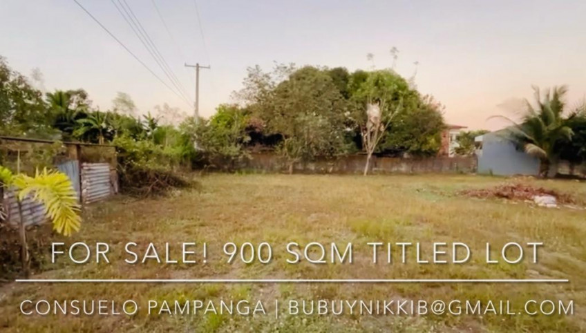 Lot For Sale In Consuelo, Floridablanca, Pampanga