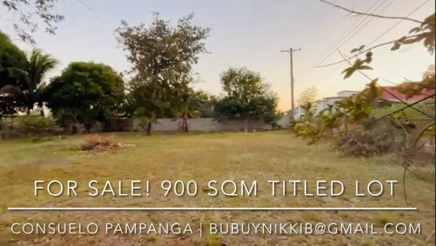 Lot For Sale In Consuelo, Floridablanca, Pampanga