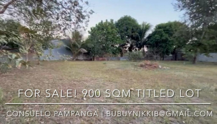 Lot For Sale In Consuelo, Floridablanca, Pampanga
