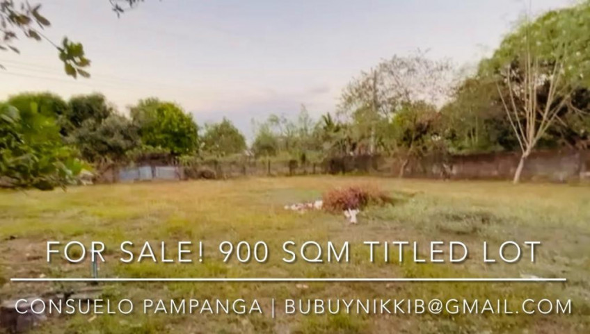 Lot For Sale In Consuelo, Floridablanca, Pampanga