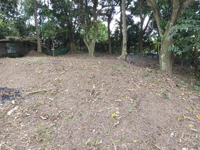 Residential Lot For Sale In Cuenca, Batangas
