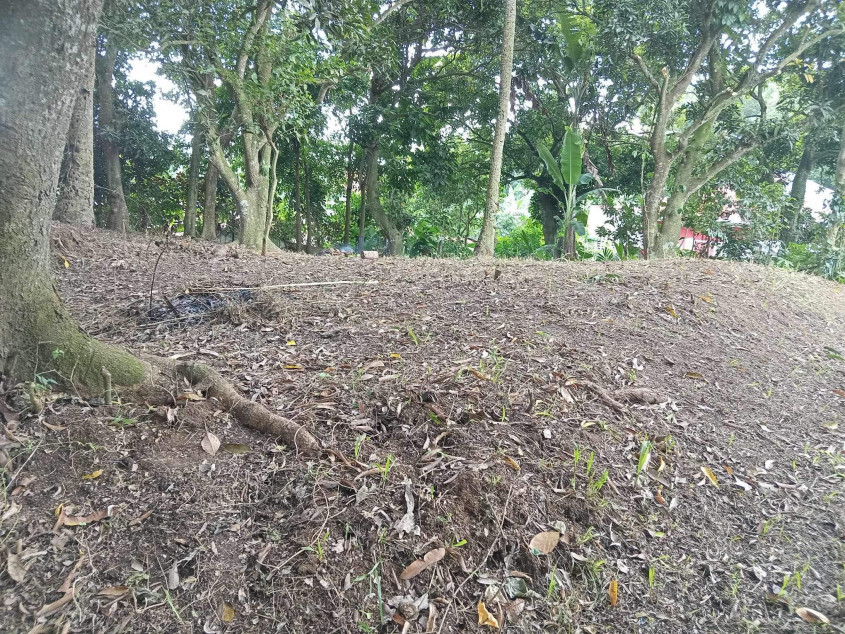 Residential Lot For Sale In Cuenca, Batangas