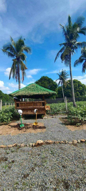 125 SQM Lot For Sale In Prime Villa Batangas