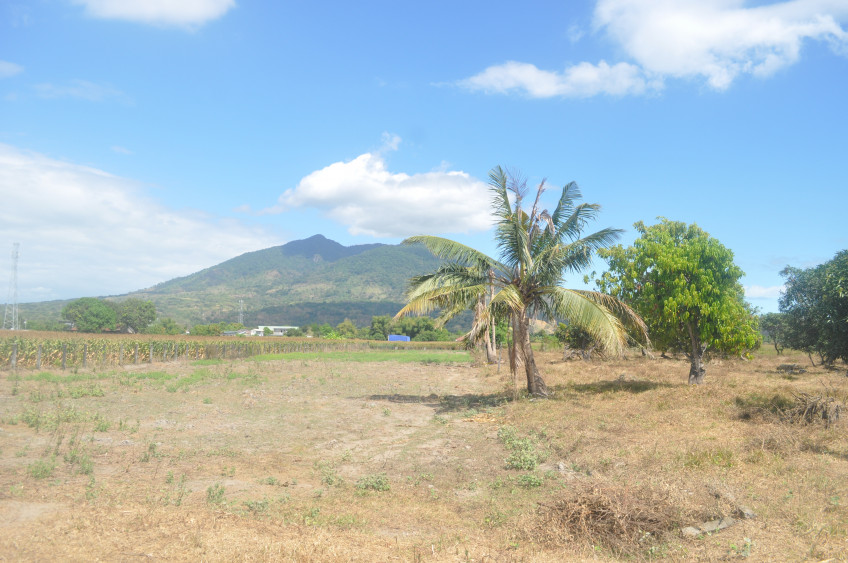 Subdivided Lot for Sale In Arayat, Pampanga