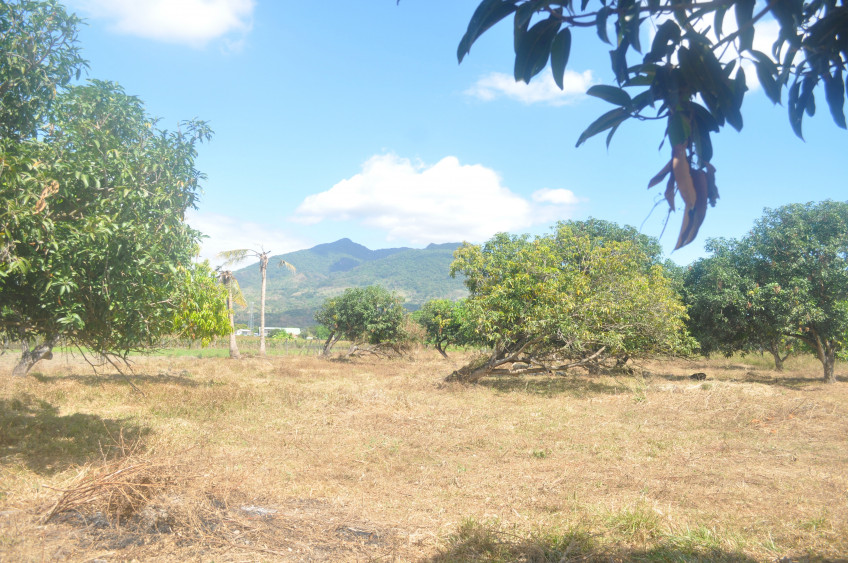Subdivided Lot for Sale In Arayat, Pampanga