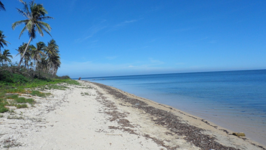 Lot Near The Beach Front, Ilog Malino Bolinao Pangasinan