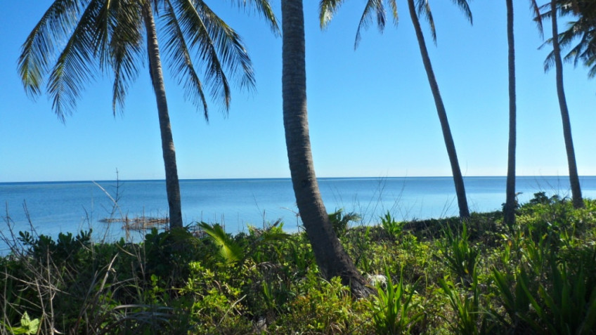 Lot Near The Beach Front, Ilog Malino Bolinao Pangasinan