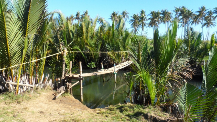 Lot Near The Beach Front, Ilog Malino Bolinao Pangasinan