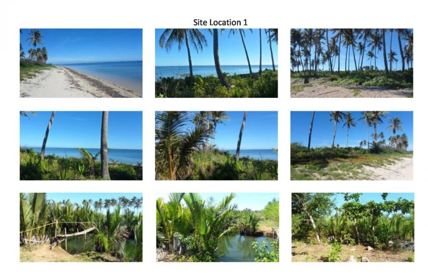 Lot Near The Beach Front, Ilog Malino Bolinao Pangasinan