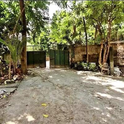 For Sale: Commercial Lot In Maguikay Mandaue City