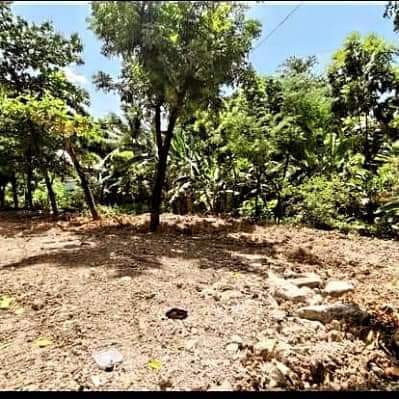 For Sale: Commercial Lot In Maguikay Mandaue City