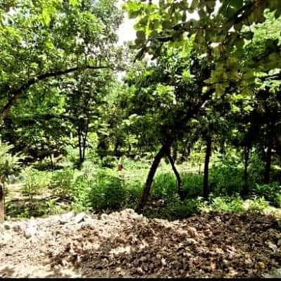 For Sale: Commercial Lot In Maguikay Mandaue City