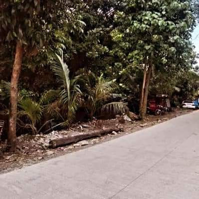For Sale: Commercial Lot In Maguikay Mandaue City
