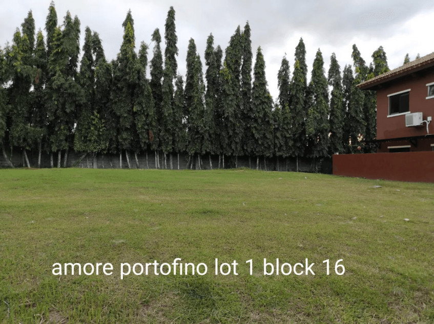 Amore Portofino Residential Lot For Sale (Lot 1 Block 16) Almanza Dos, Las Pinas