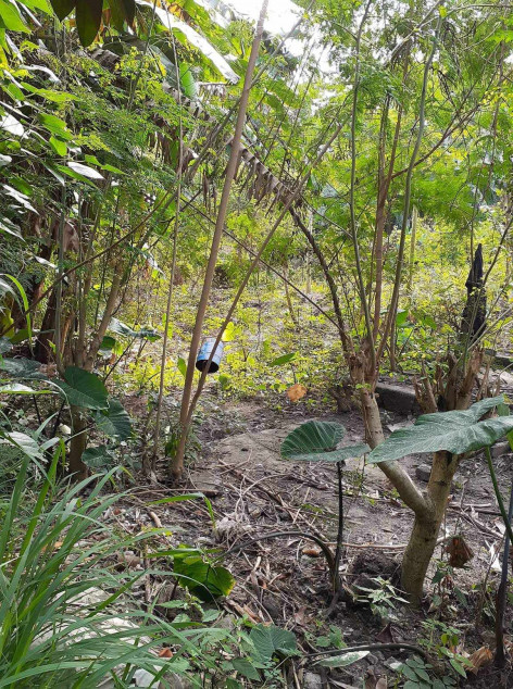 Lot For Sale In Filinvest Homesite 1 San Pedro Laguna