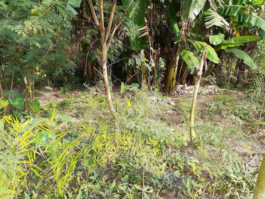 Lot For Sale In Filinvest Homesite 1 San Pedro Laguna