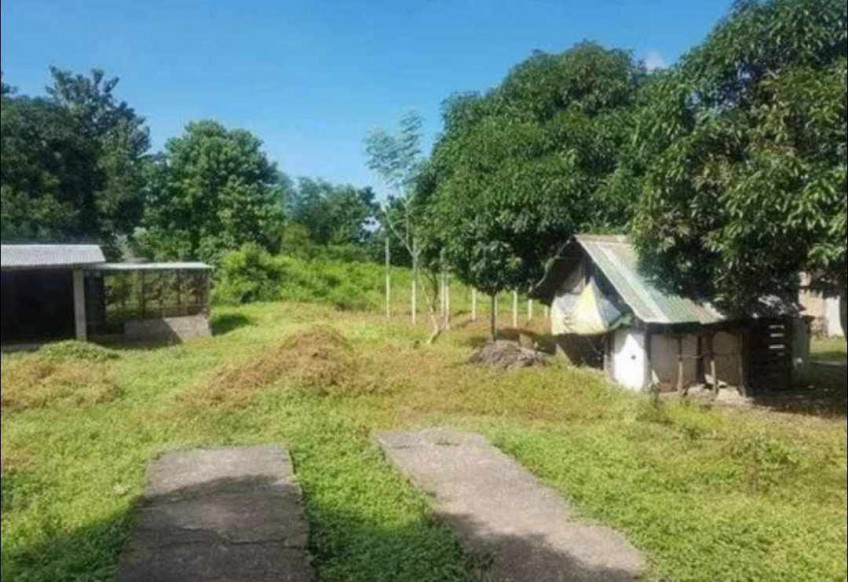 5 Hectares Casiaman Bacnotan, La Union Land For Sale