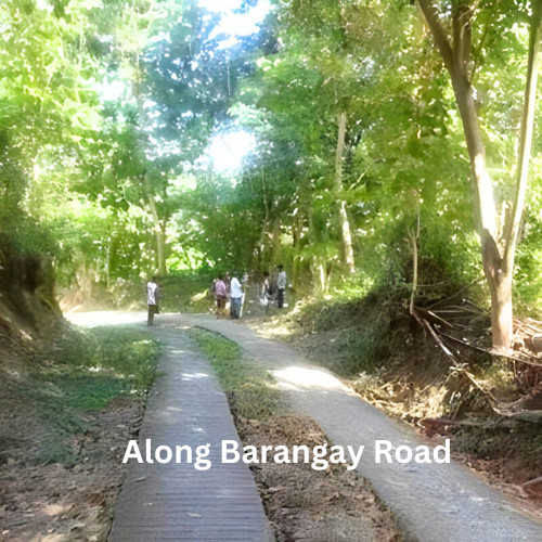 5 Hectares Casiaman Bacnotan, La Union Land For Sale