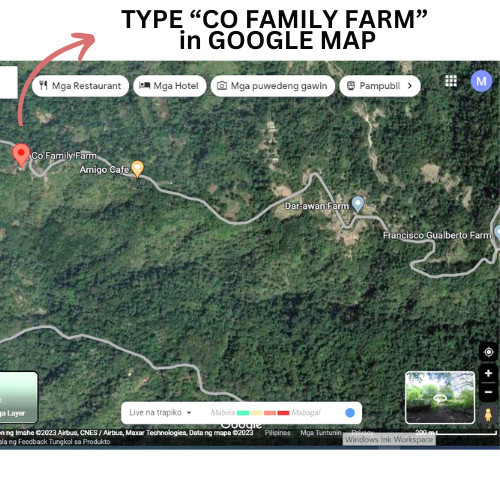 5 Hectares Casiaman Bacnotan, La Union Land For Sale