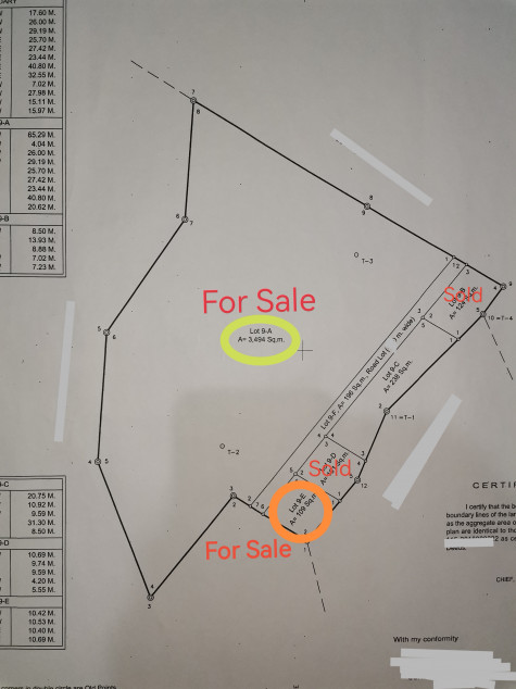 Land For Sale Near Inopacan City Proper, Leyte