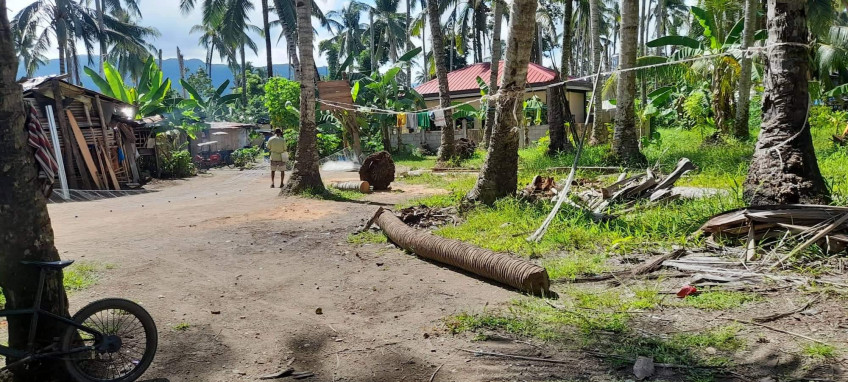 Land For Sale Near Inopacan City Proper, Leyte