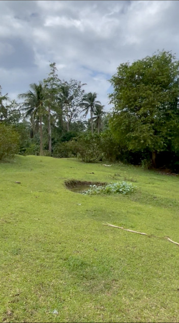 Agricultural Land In Gasan, Marinduque (CLEAN TITLE)