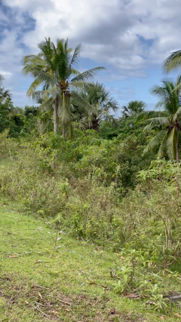 Agricultural Land In Gasan, Marinduque (CLEAN TITLE)