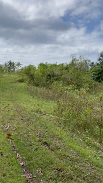 Agricultural Land In Gasan, Marinduque (CLEAN TITLE)
